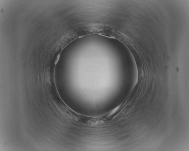 X0000074320512200609011541