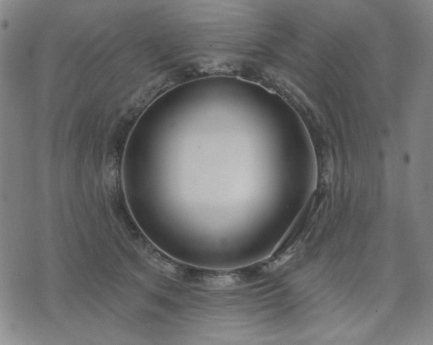X0000074320513200609011541