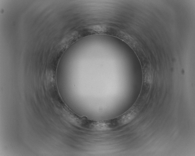 X0000074320518200609011541