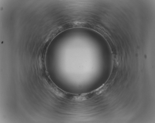 X0000074320520200609011541