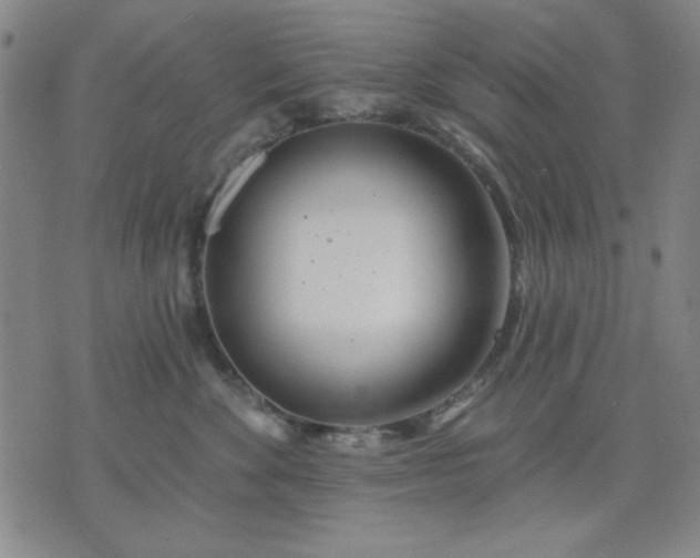 X0000074320524200609011541