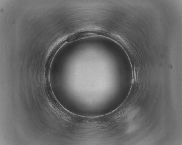 X0000074320531200609011540