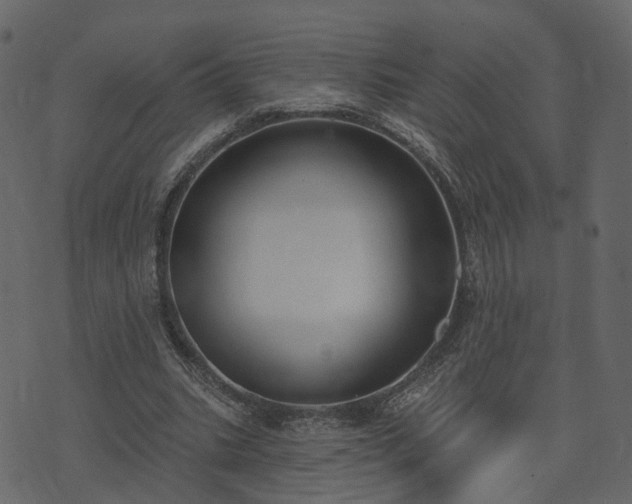 X0000074320535200609011540