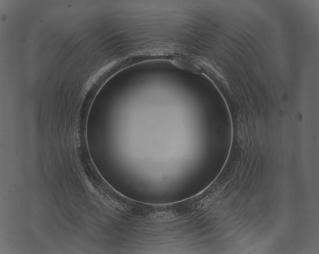 X0000074320536200609011540