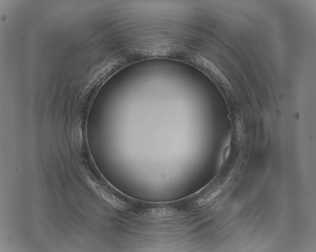 X0000074320541200609011540