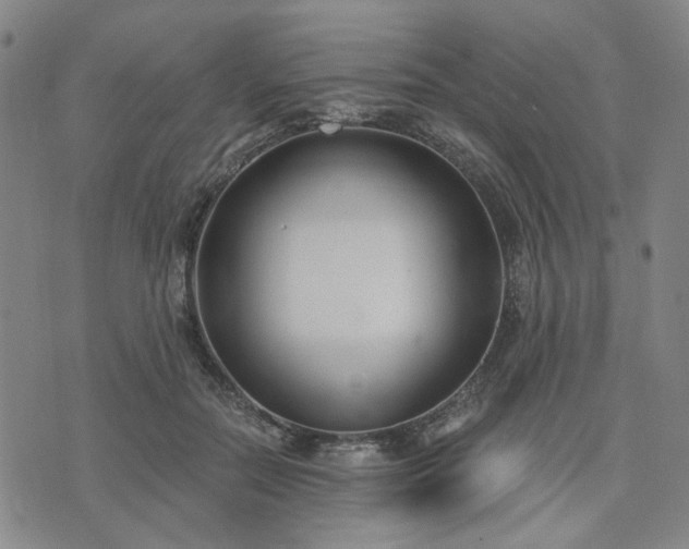 X0000074320554200609011540