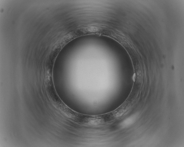 X0000074320555200609011540