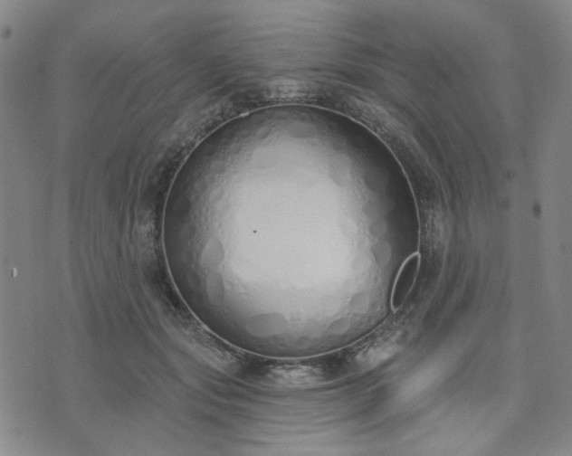 X0000074320557200609011540