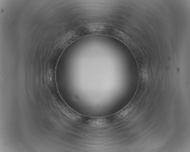 X0000074320567200609011540