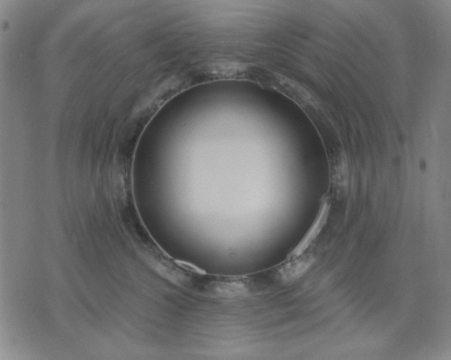 X0000074320572200609011540