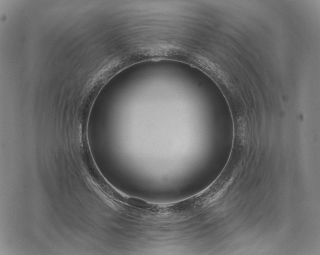 X0000074320589200609011539