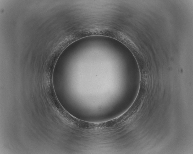 X0000074320593200609011539