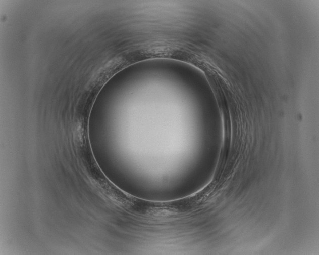 X0000074320597200609011539