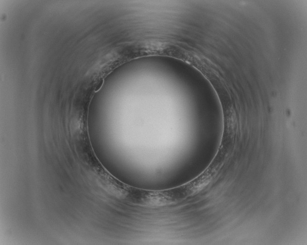 X0000074320608200609011539