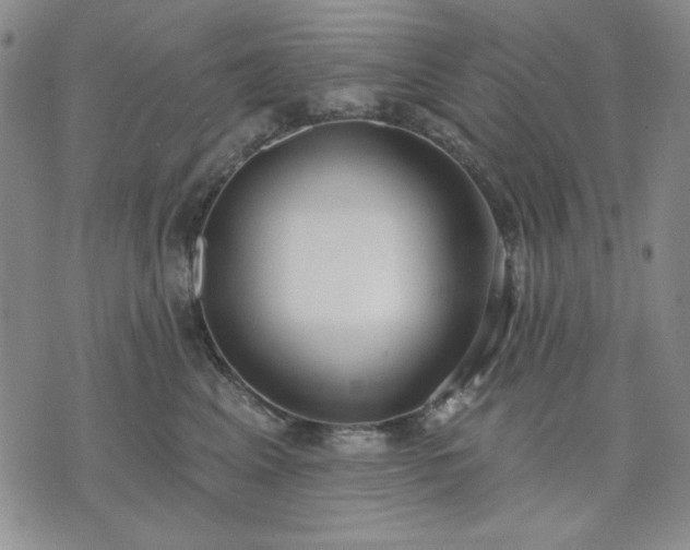 X0000074320617200609011539