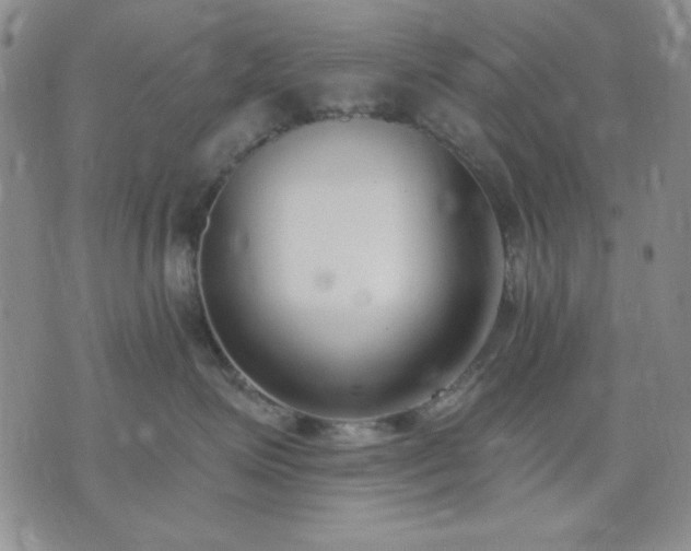 X0000074320623200609011539