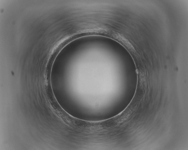 X0000074320628200609011538