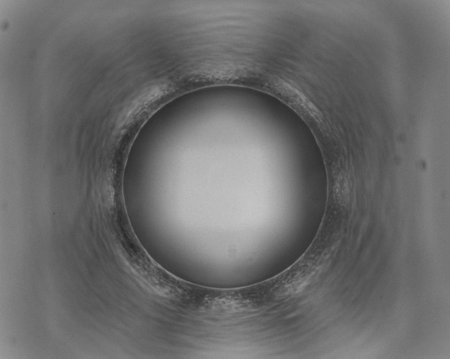 X0000074320635200609011538
