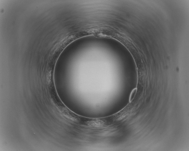 X0000074320652200609011539