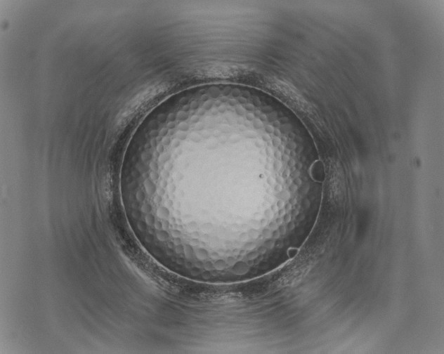 X0000074320683200609011538
