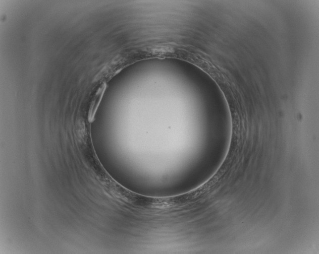 X0000074320704200609011538
