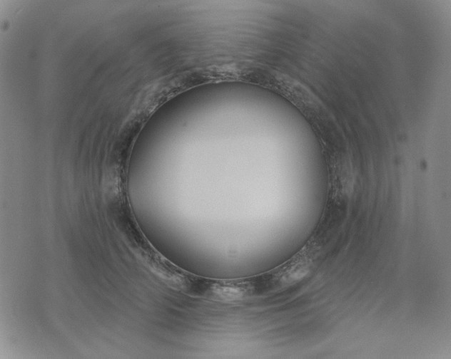 X0000074320706200609011538