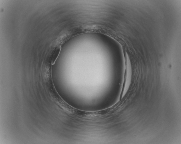 X0000074320708200609011537