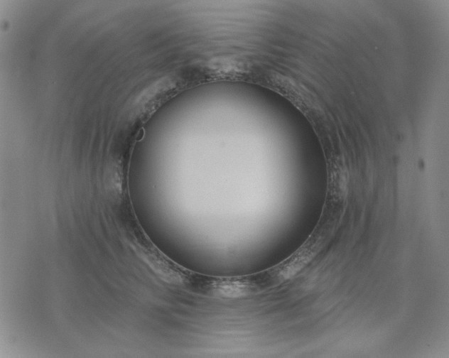 X0000074320710200609011537