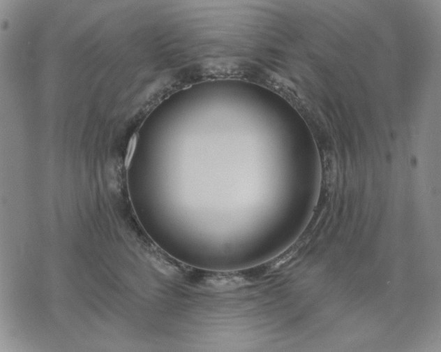 X0000074320712200609011537