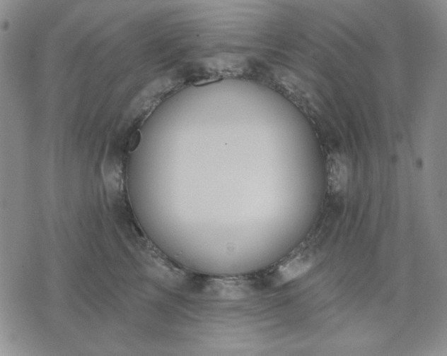 X0000074320713200609011537