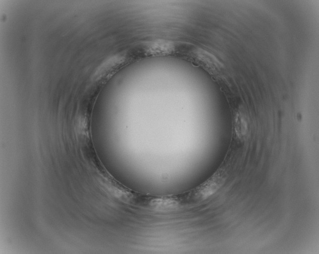 X0000074320714200609011537