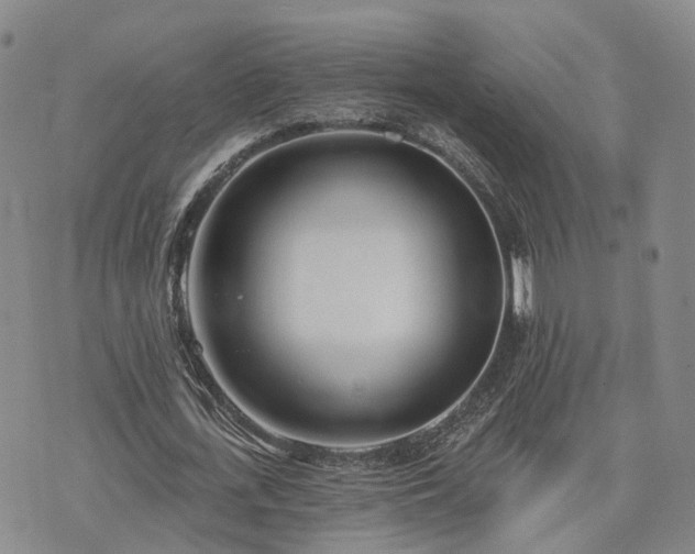 X0000074320723200609011537