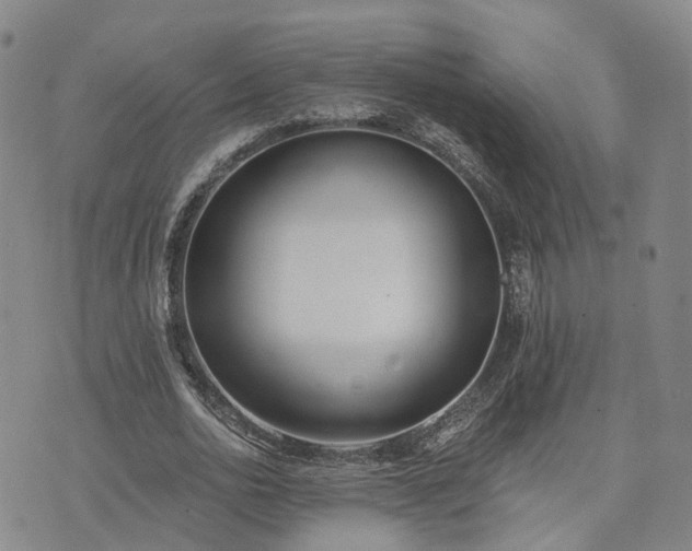 X0000074320726200609011537