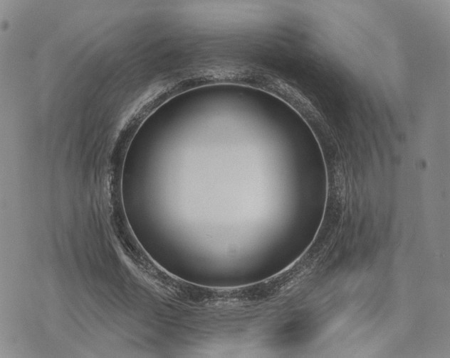 X0000074320730200609011537