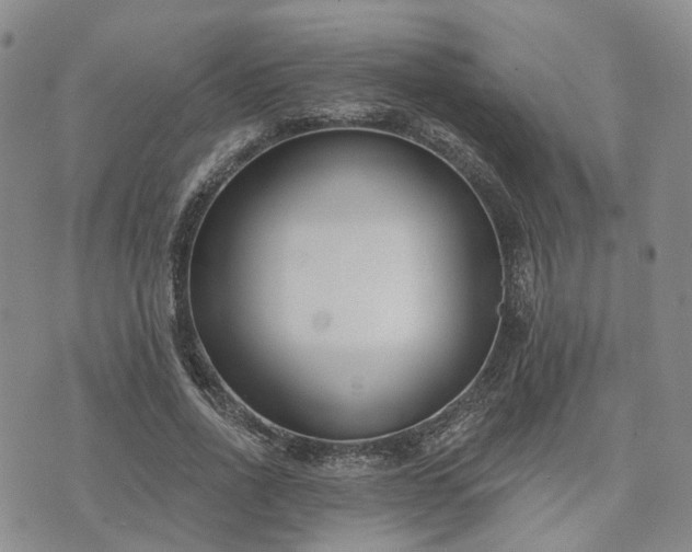 X0000074320734200609011537