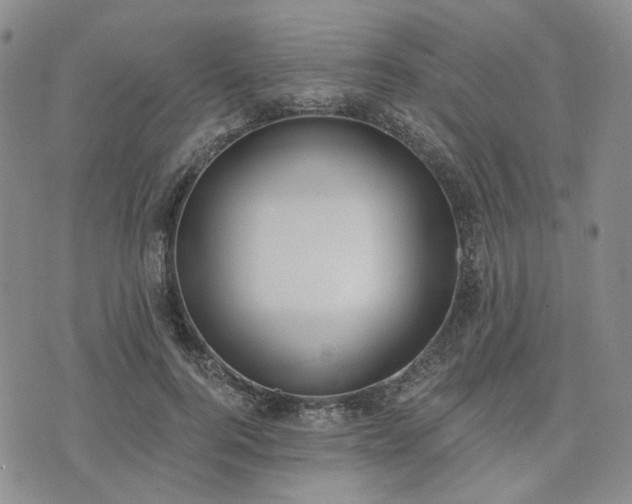 X0000074320744200609011537