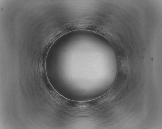 X0000074320746200609011537