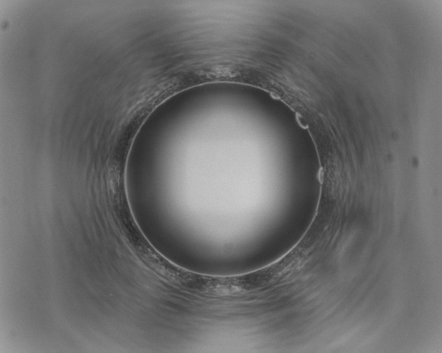 X0000074320747200609011537