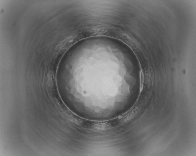 X0000074320757200609011537