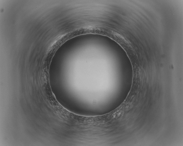 X0000074320776200609011536
