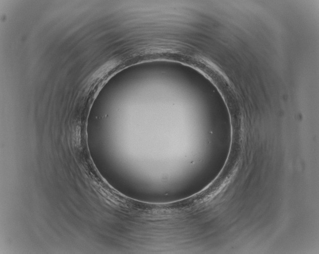 X0000074320777200609011536