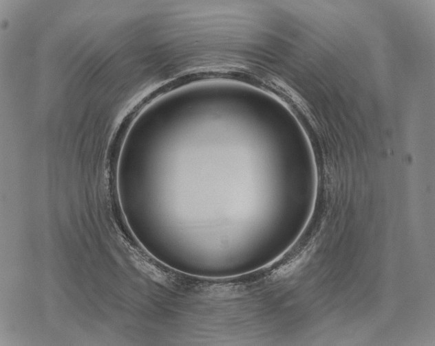 X0000074320779200609011536