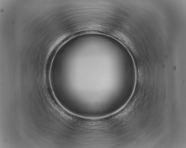 X0000074320780200609011536