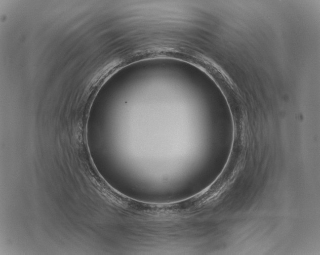 X0000074320785200609011536