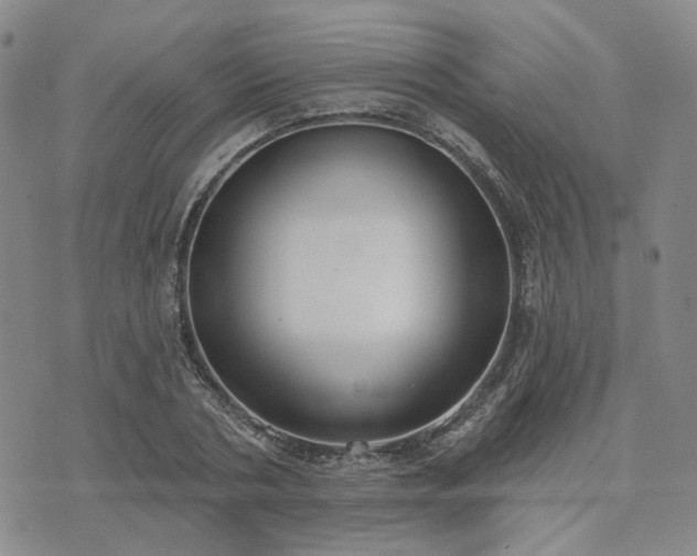 X0000074320786200609011536