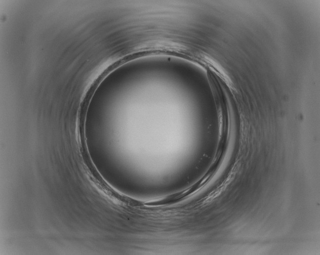 X0000074320788200609011536