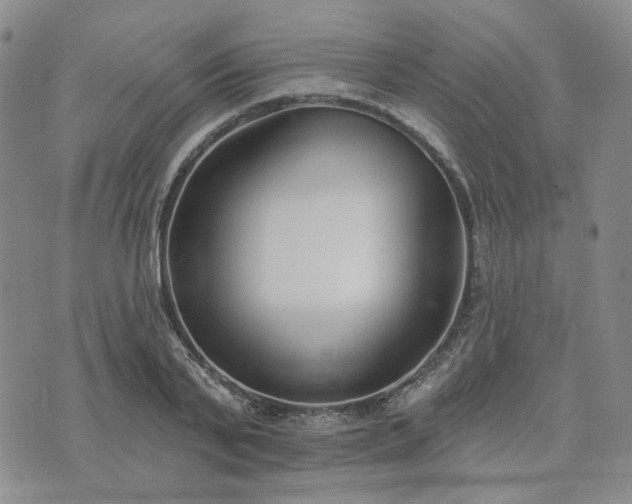 X0000074320791200609011536