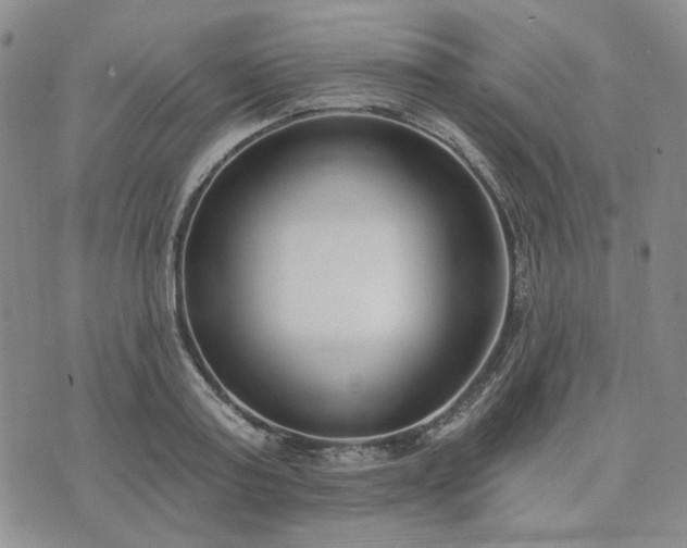 X0000074320795200609011536