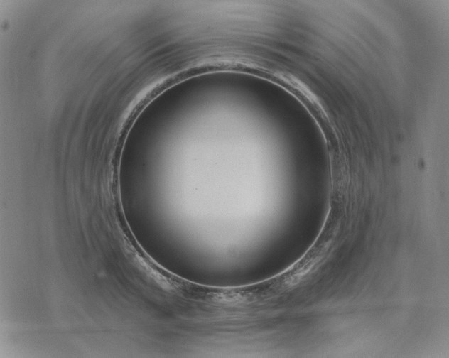 X0000074320799200609011536