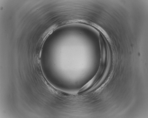 X0000074320809200609011536